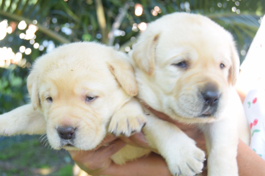 LES BEBES DE NANCY ET DE NEWMAN